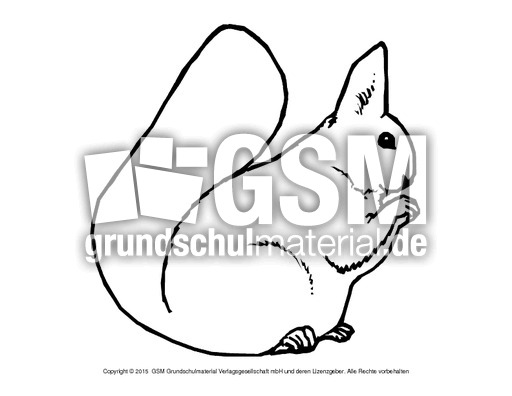 Ausmalbild-Eichhörnchen-B 8.pdf